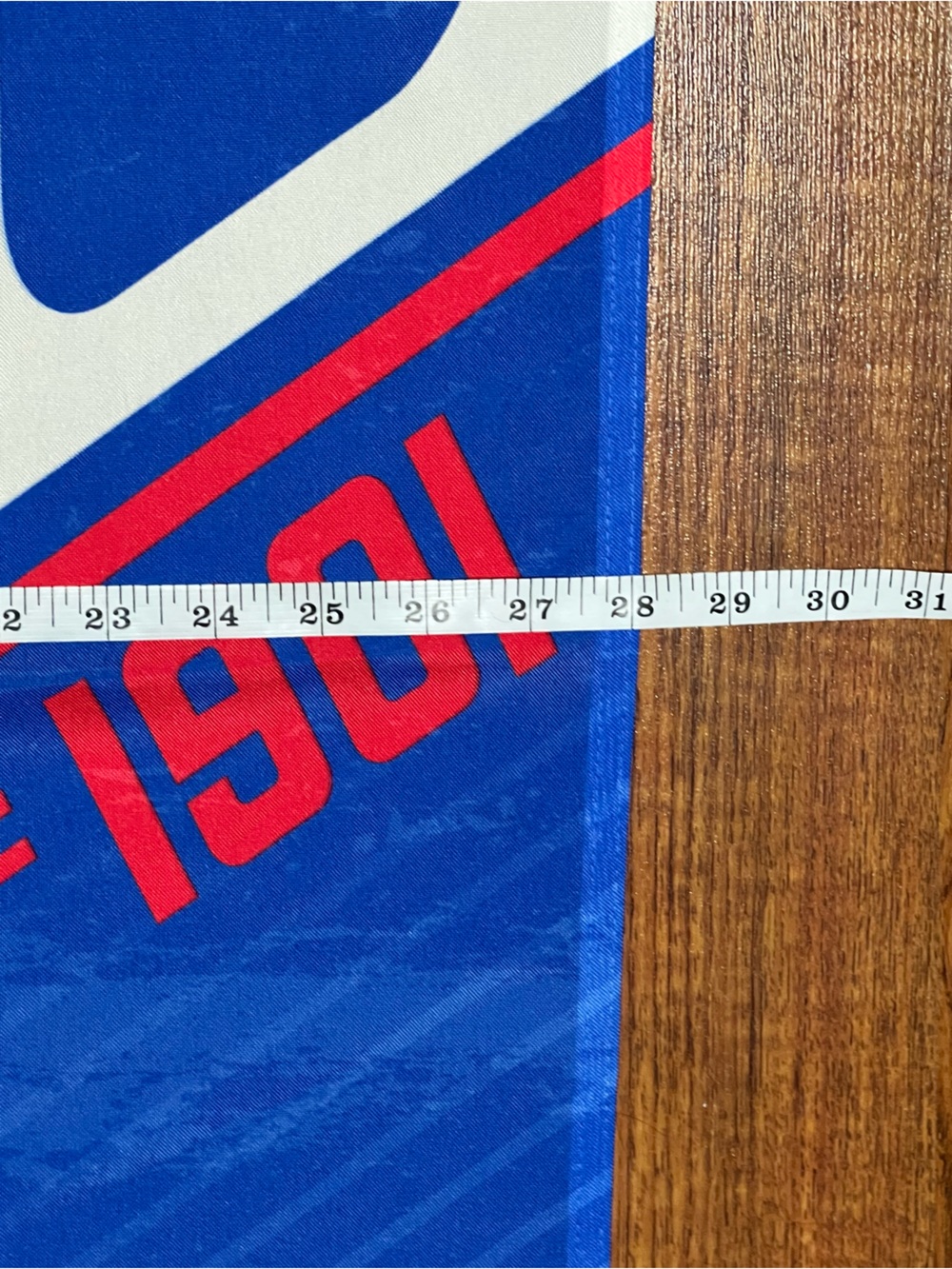 Minnesota Twins "Since 1901" Cooperstown Collection 28x40 Vertical Wall Banner - Picture 7 of 8